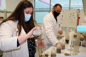 Na FAZOS-u i Agronomskom fakultetu upisi idući tjedan: Predviđeno više od 700 mjesta