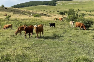 APPRRR objavila kalkulator: Koji je broj dana napasivanja preporučen na pojedinoj parceli?