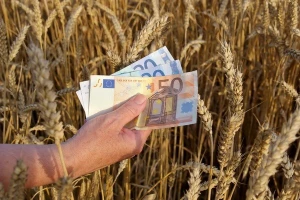 Do financiranja skladištenja žitarica preko EK?