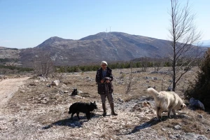Pašnjačke površine za planinske krajeve život znače, a korisne su i za šumarstvo
