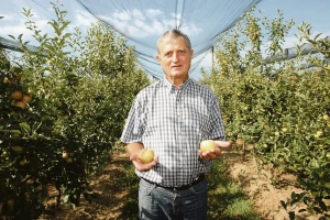 Nikad više jabuka, nikad manje sezonaca: Onoga tko odbije sezonski raditi u poljoprivredi treba izbrisati s biroa?