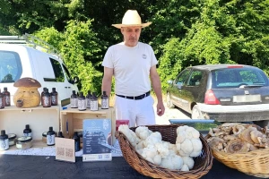Gljive su iznimno vrijedna namirnica, a na velika vrata upravo ulazi 'lavlja griva'