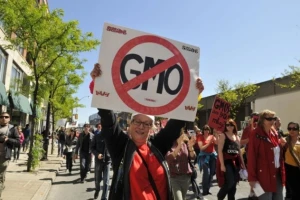 Nobelovci: Zaustavite kampanju protiv GMO-a!