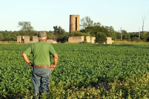 HR poljoprivredne površine premale za GMO uzgoj