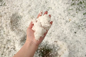U samo 10 minuta tuča pokosila nasade voća i povrća