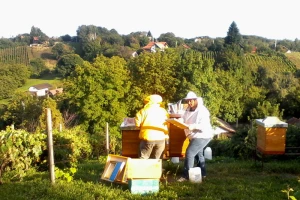 Tri generacije pčelara uspješne koprivničke obitelji Harači