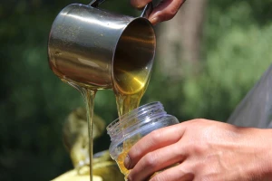 Mijenjamo prehrambene navike, za Školski medni dan i promociju hrvatskog meda dva milijuna kuna
