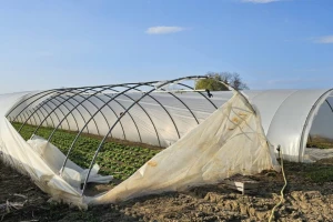 HPK se oglasio o štetama u plastenicima: Traže krizni fond i bržu reakciju sustava