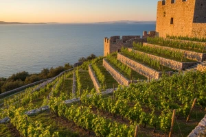 "Hrvatska kuća vina"