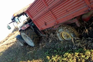 U istom košu sa kradljivcima poticaja?