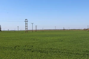 Što donosi strateška transformacija poljoprivrede i ruralnog prostora Hrvatske?