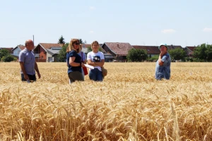 Hrvatska druga u EU po proizvodnji sjemena soje, a u čemu smo samodostatni?