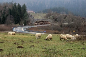 Za revitalizaciju Gorskog kotara i Dalmatinske zagore preko 17 milijuna eura