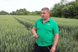 Josip Zušćak: Bez ulaganja nema ništa, od dobrog sjemena do zaštite