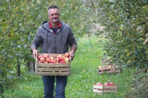 Stjepan Tonković: Dok sam na tržnici sa svojim jabukama, prekupaca nema