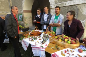 I školarci cijepe, sade i čuvaju stare sorte voća: Fabijan, Mateo i Adam već su sad pravi znalci