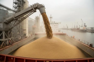 Iran potiho kupio gotovo svu pšenicu na tržištu?!