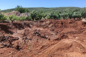 Što će jesti naša djeca: Iskapanje i prodaja plodnog tla unosnije od uzgoja hrane na njemu?