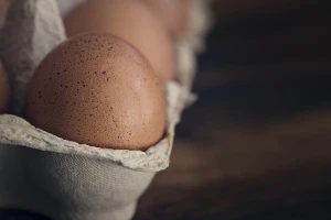 467 tisuća kuna za objekt za preradu jaja