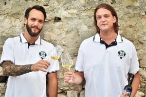 Trostruki vinski šampioni imaju najveći vinograd na Korčuli, a sorta Grk je zapravo Grkinja