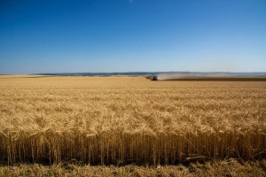 Izgledi za Hrvatsku za 04.07.2014-06.07.2014