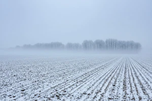 Izgledi za Hrvatsku za 11.12.2009-13.12.2009