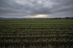 Izgledi za Hrvatsku za 12.05.2013-14.05.2013