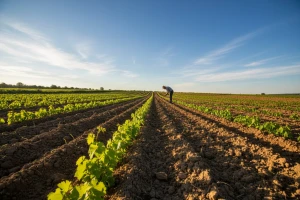 Izgledi za Hrvatsku za 20.06.2014-22.06.2014