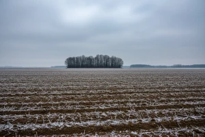 Izgledi za Hrvatsku za 24.01.2014-26.01.2014