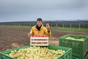 TOP destinacije svjetske trgovine jabukama