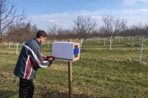 Mladi inženjer iznajmljuje solitarne pčele - potražnja raste, a upiti stižu i iz inozemstva