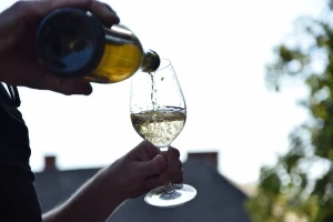 Vinarija koju čuva sv. Elizabeta i u kojoj se proizvodi vino njoj u čast