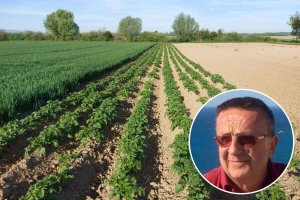Kriza kao prilika: Ratari novu šansu vide u proizvodnji povrća