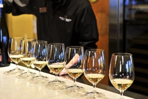 Kušajte 153 vrste vina na 1. reviji najboljih vina Zagrebačke županije!