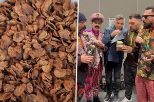 Let 3 nakon nastupa jeli ŠČvarke: mmm, katarza, vrh...