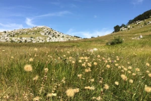 Lika i Mali Lošinj uvršteni među Top 100 svjetskih održivih zelenih destinacija!