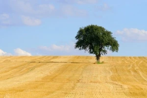 Izgledi za Hrvatsku za 18.07.2014-20.07.2014