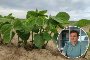 Analizom tla do uštede na gnojivima i proizvodnje sigurne hrane