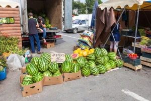 Zbog "lubenica, krumpira, lubenicaaa!" i u zatvor?