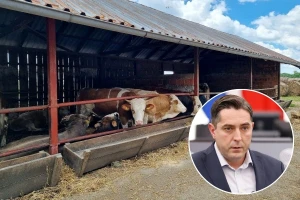 Mali OPG-ovci će posebno biti pogođeni EU-Mercosur sporazumom, smatra Marko Vešligaj