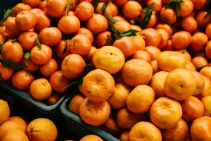 Iz Dubrovnika za Vukovar stiže 9 tona mandarina!