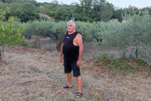 Lopatali po noći?! Iz vinograda braće Eremut ukradena tona stajskog gnojiva