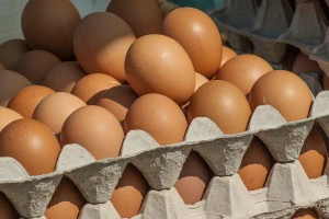 TISUP: Jaja većinom skuplja, piletina stabilna, pad cijene voća