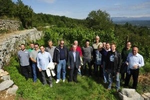 Površine pod sortom jarbolom dobile vodu
