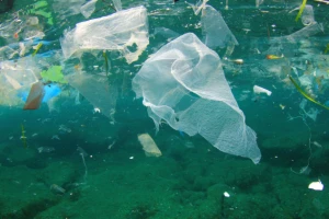 Koliko ribe, toliko plastike?