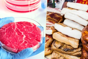 Dilema koja to nije: Sintetičko meso iz 2050. ili zdrava slanina iz 2024.