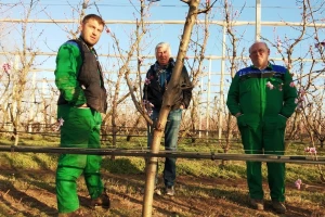 Eliminirali herbicide, udvostručili prinose, dobili Global Gap i osvojili europske trgovačke lance