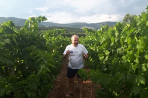 Ivica Milan: Od brodograditelja do šampiona autohtonih vina