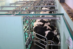 Novi EU ekološki standardi za industriju hrane, pića i mlijeka