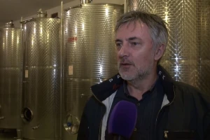 Miroslav Škoro: Vinar sam s jako malim "v", a pjevanje i vino itekako idu ruku pod ruku